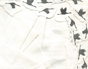 Matthew Part IV: Compassion—a radical critique